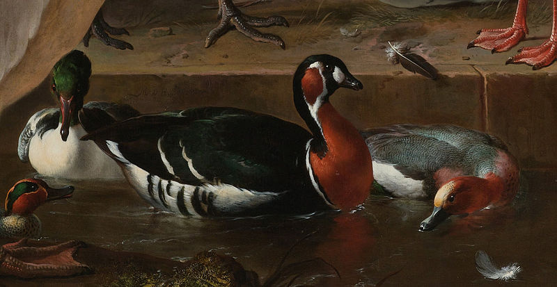 HONDECOETER, Melchior d A Pelican and Other Birds Near a Pool, known as 'The Floating Feather'